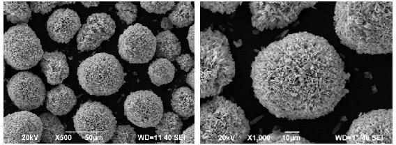 Nano Copper Oxide Toplus